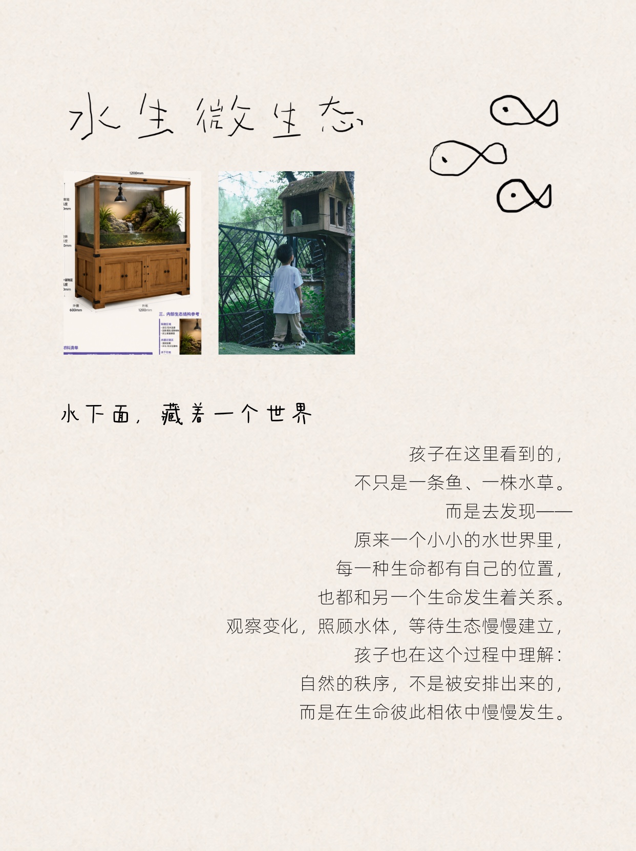 DADDY HOME 生命场教育解读 4