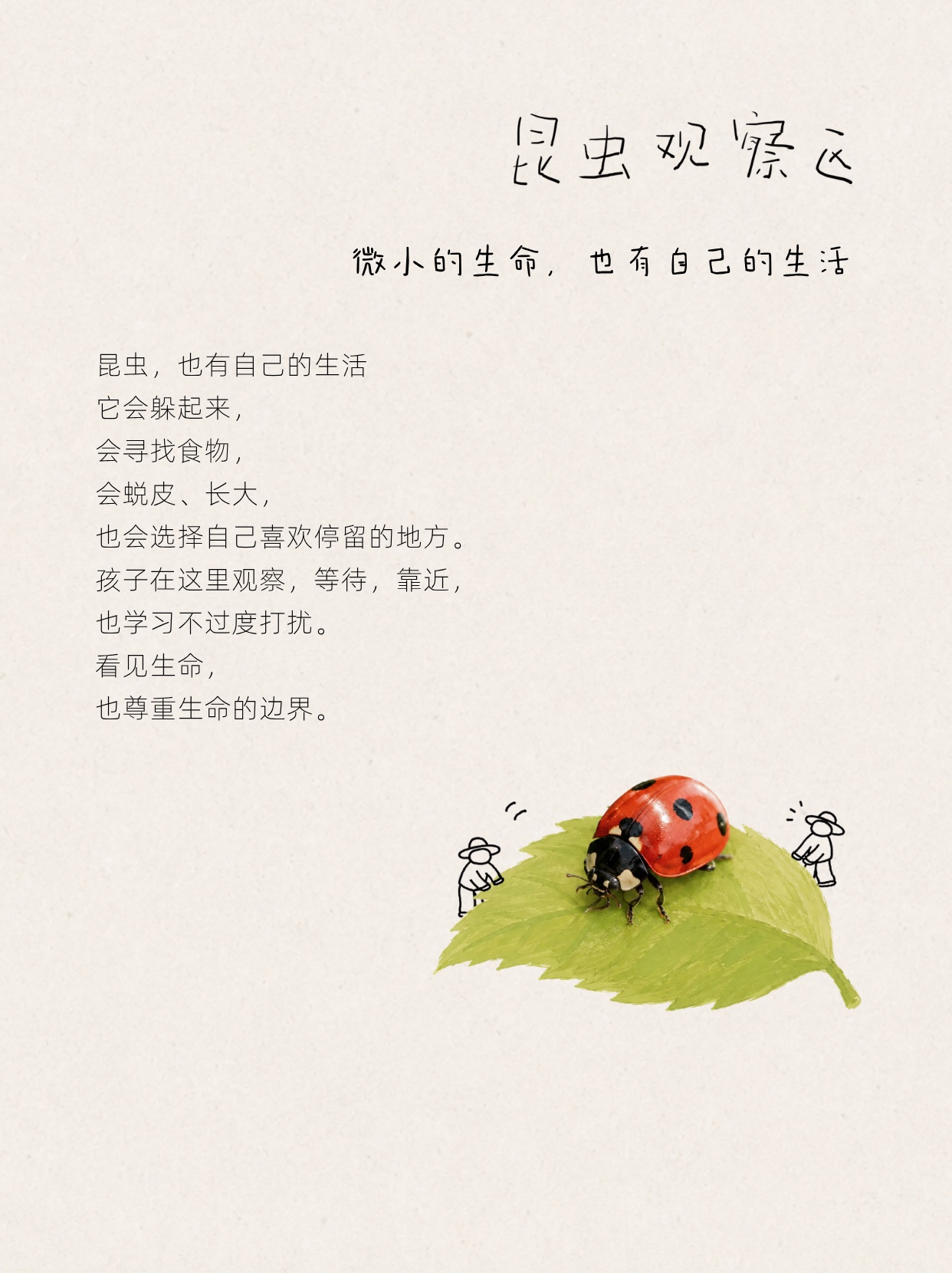 DADDY HOME 生命场教育解读 5