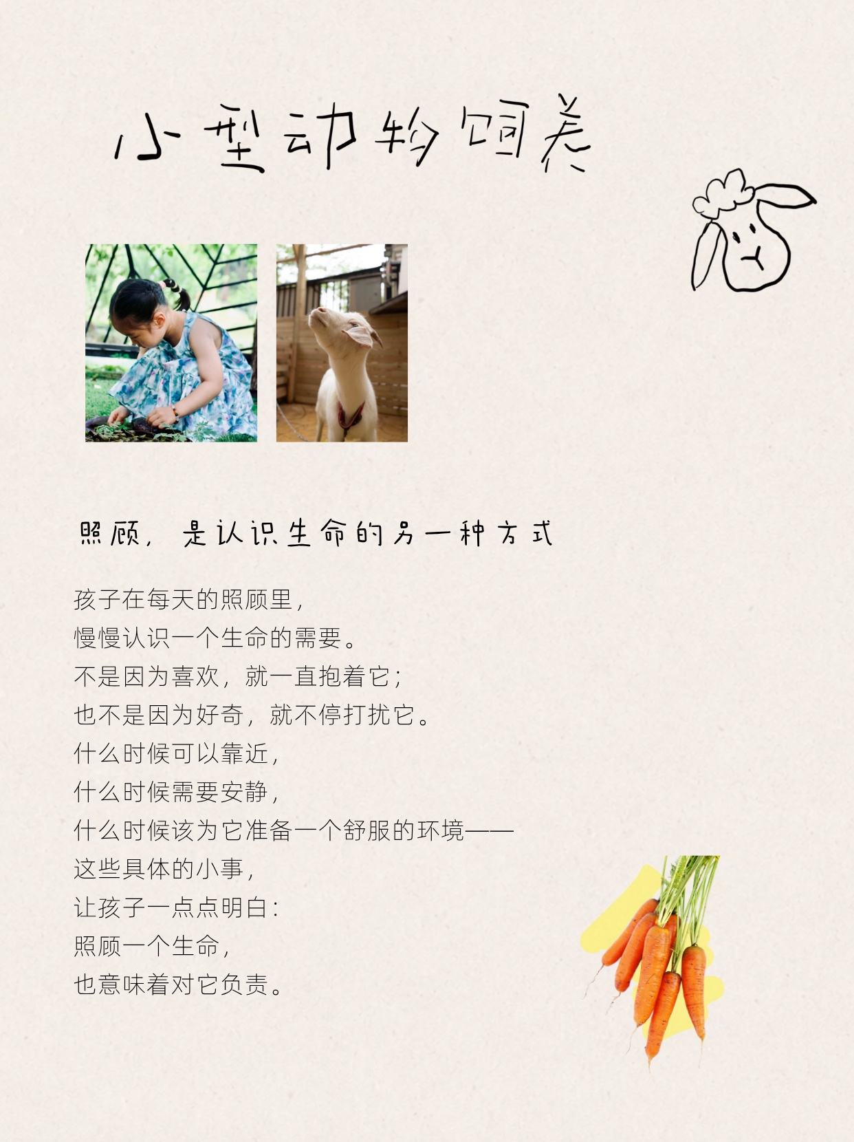 DADDY HOME 生命场教育解读 6
