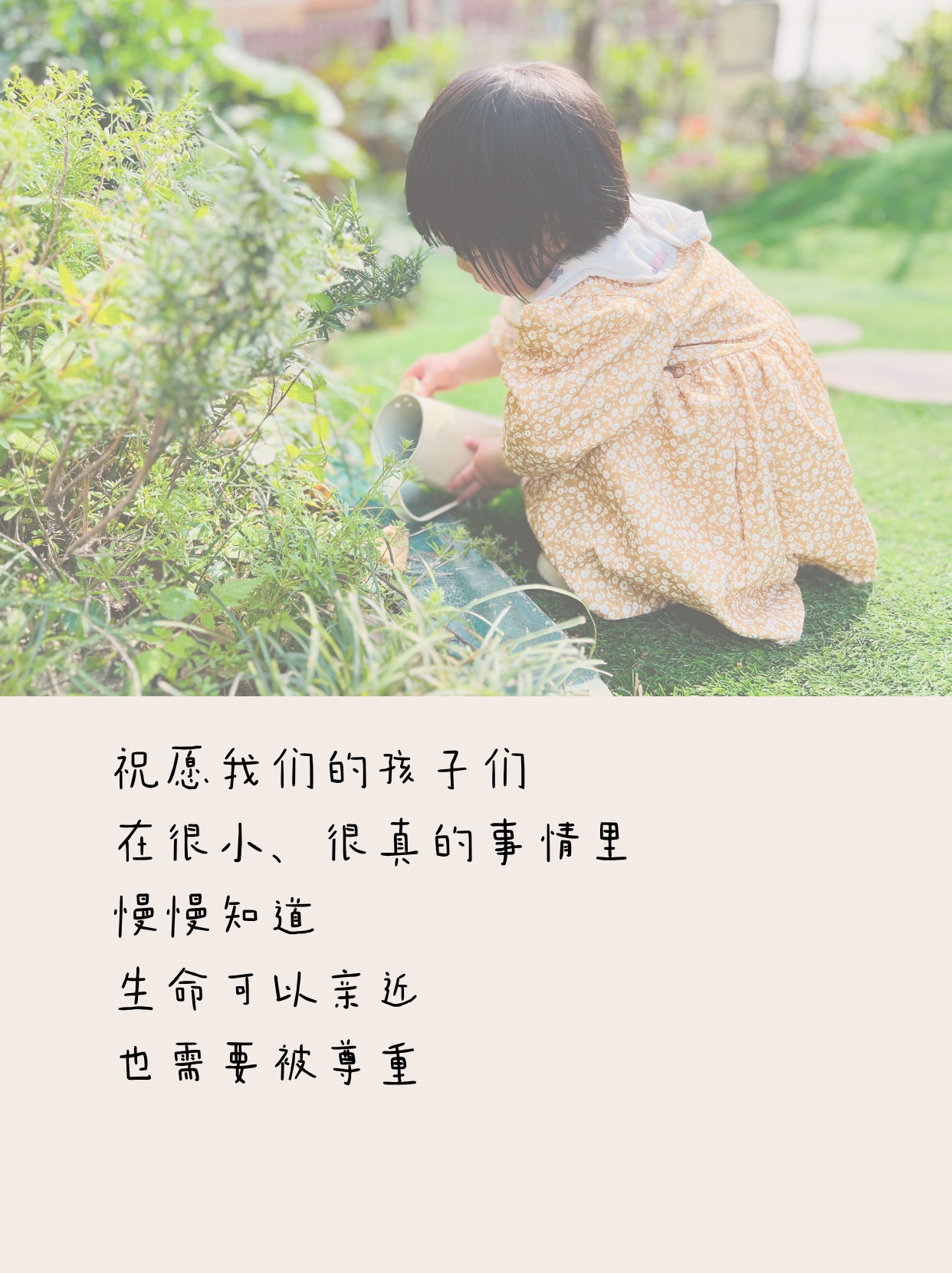 DADDY HOME 生命场教育解读 8